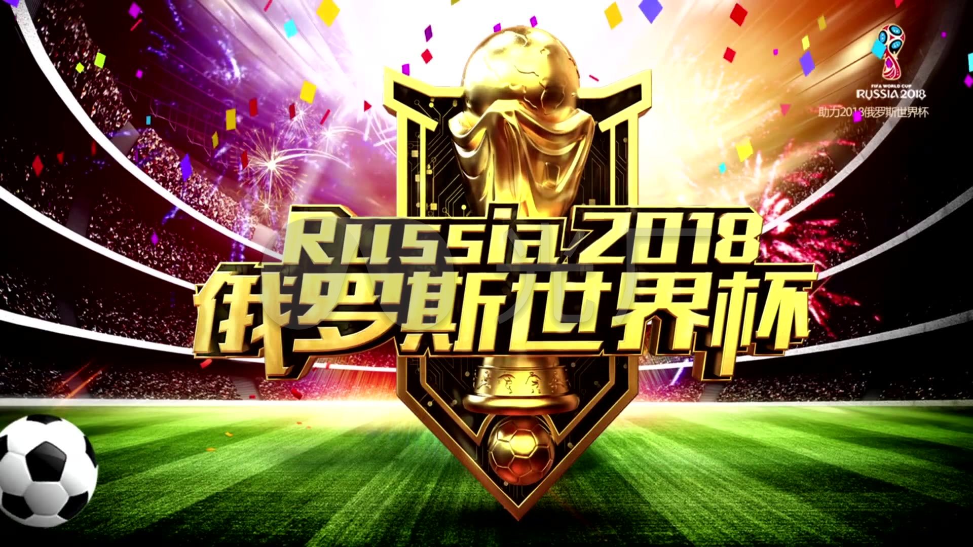 的职业生涯